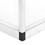 vidaXL Serre Aluminium 302x190x195 cm 11 19 m³