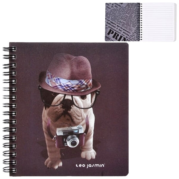Carnet téo jasmin gris