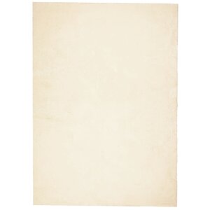 vidaXL Tapis HUARTE à poils courts doux et lavable crème 240x340 cm