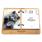 Coffret Éphéméride Agenda Yvon 2025 - Edition Chat - Draeger paris