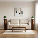 vidaXL Support de Plante 2 pièces Chêne fumé 25 x 25 5 x 100 5 cm