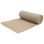 vidaXL Fleece de protection des plantes contre le gel Beige 20 x 3 2 m