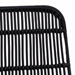 vidaXL Chaise de salle à manger 2 pc Rattan et Acier Noir