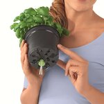 LECHUZA 3 Pièces Jardinières Green Wall Home Kit Blanc
