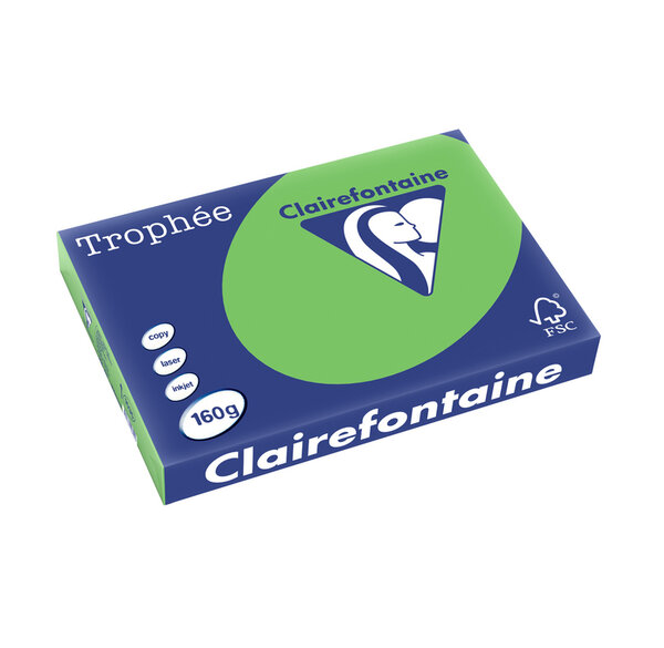 Ramette 250 Feuilles Papier 160g A3 420x297 mm vert menthe CLAIREFONTAINE