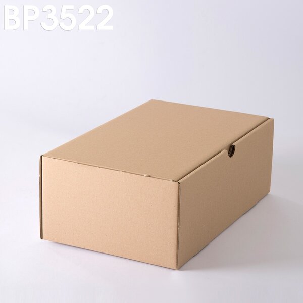 Lot de 1000 Boîtes postales brunes 350x220x130 mm