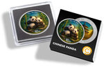 Pièce de monnaie en Argent 10 Yuan g 30 Millésime 2026 CHINESE PANDA