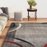 vidaXL Tapis de salon 80x150 cm Multicolore