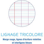 Cahier poésie 96 pages 90 g  couverture en polypropylène  format 21 x 29 7 cm CALLIGRAPHE