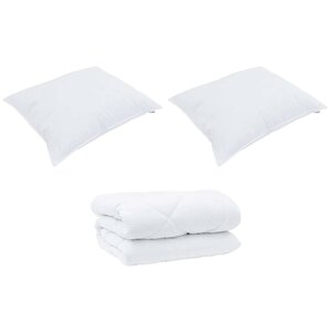 vidaXL Duvet d'hiver avec oreiller 3 Pièces Blanc 240 x 220 cm Microfibre