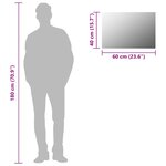 vidaXL Miroir mural 60 x 40 cm Rectangulaire Verre