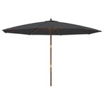 vidaXL Parasol de jardin avec mât en bois noir 400x273 cm