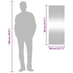 vidaXL Miroir mural 40x100 cm Verre Rectangulaire