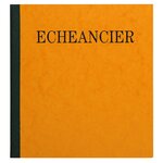 Piqûre 21x19cm échéancier tracé journal 80 pages x 5 EXACOMPTA