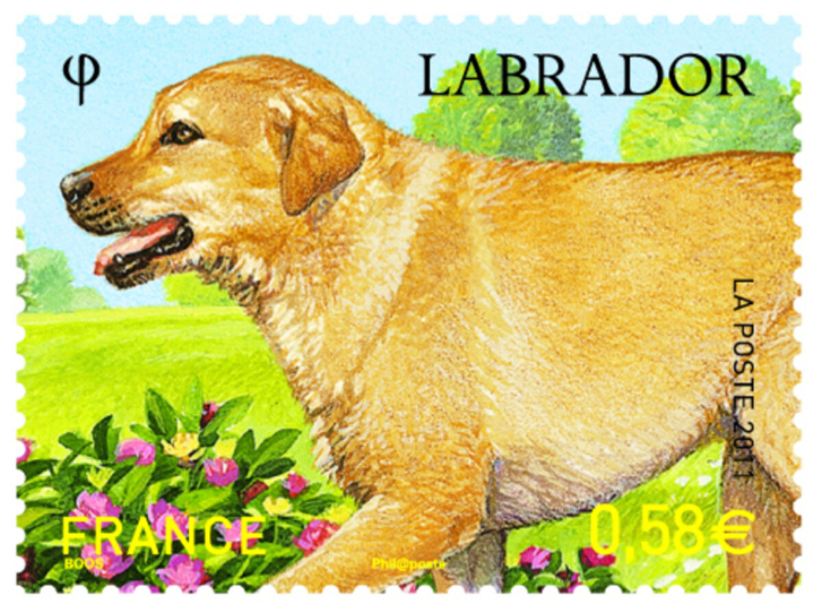 Collection de 361 timbres différents thème chiens - Collection