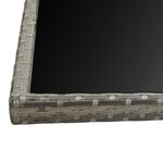 vidaXL Ensemble à manger d'extérieur 13Pièces et coussins poly rotin Gris