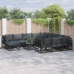 vidaXL Ensemble de canapé de jardin 12 Pièces Noir Métal