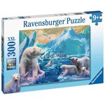 Puzzle 300 p xxl - au royaume des ours polaires
