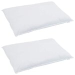 vidaXL Oreiller avec oreiller 2 Pièces Blanc 40 x 80 cm Plume
