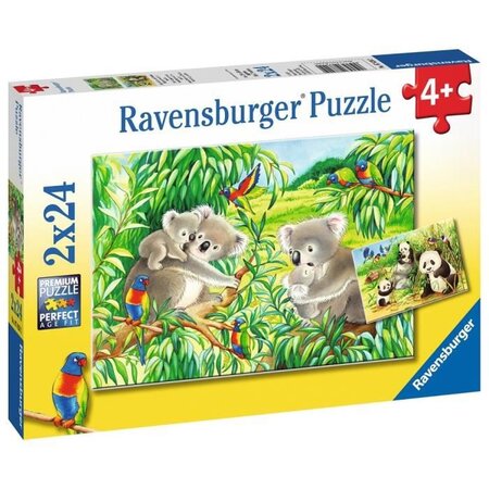 Puzzles 2x24 p - mignons koalas et pandas