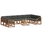 vidaXL Ensemble de canapés d'extérieur 11 Pièces Naturel et Anthracite