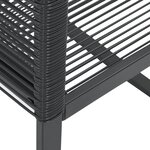 vidaXL Chaises de jardin lot de 2 Noir Résine tressée
