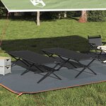vidaXL Lit de camping pliant 2 Pièces Noir Tissu Oxford