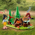 41735 La mini maison mobile ® Friends