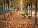 SMARTBOX - Coffret Cadeau - Visite guidée du jardin des Tuileries avec halte dans un café historique - .