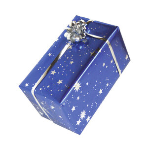 Clairefontaine Un rouleau de papier cadeau Premium Noël dans les Bois