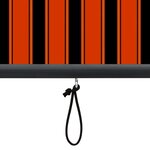 vidaXL Store roulant d'extérieur 170x250 cm Orange et marron
