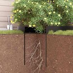 vidaXL Barrière anti-racines Noir 0.7 x 3 m HDPE