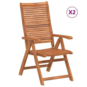 vidaXL Chaises de jardin pliantes inclinables lot de 2