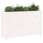 vidaXL Lit surélevé de jardin blanc 119 5x40x78 cm bois de pin massif
