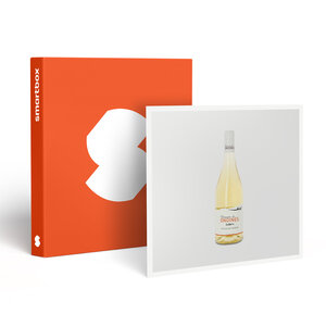 SMARTBOX - Coffret Cadeau Livraison à domicile de 6 vins du Domaine des Ondines  dans la vallée du Rhône -  Gastronomie