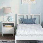 vidaXL Matelas avec couche de noix de coco Blanc 160 x 80 cm Mousse PU