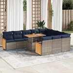 vidaXL Ensemble de canapés de jardin 11 Pièces et coussins rotin acacia