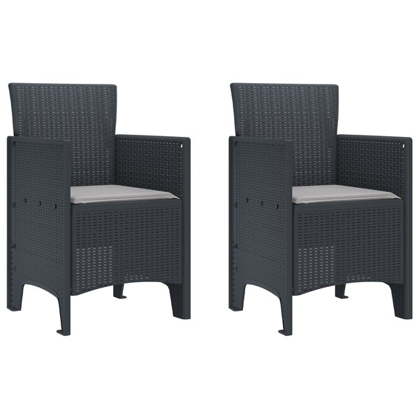 vidaXL Chaises de Jardin 2 Pièces Anthracite Poly Rattan
