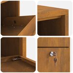 vidaXL Boîte de dépôt de colis avec porte Marron 44 x 22 x 82 cm Acier