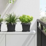 vidaXL Plateau carré à fleurs 24 pc Noir 15 x 15 x 2 cm Plastique
