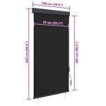 vidaXL Store roulant d'extérieur 100 x 250 cm Anthracite