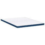 vidaXL Coussins de Matelas Blanc et Bleu 140 x 200 cm