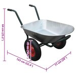 Brouette Jardinage 2 Roues 80 L