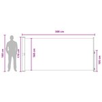 vidaXL Store latéral rétractable Taupe 300 x 170 cm Polyester