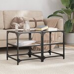 vidaXL Tables basses avec dessus en verre noir 2 Pièces 40x40x45 cm acier