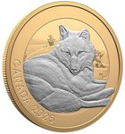 Pièce de monnaie en Argent 20 Dollars g 31.39 Millésime 2025 Animal Portraits GREY WOLF