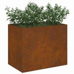 vidaXL Cache-pot de jardin Marron 50 x 32 x 40 cm Acier vieilli