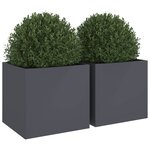 vidaXL Jardinières 2 Pièces anthracite 49x47x46 cm acier