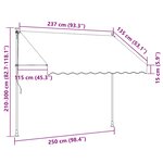 vidaXL Auvent rétractable anthracite 250x150 m tissu et acier