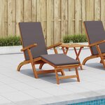 vidaXL Chaise longue inclinable et pliable 2 Pièces Gris foncé
